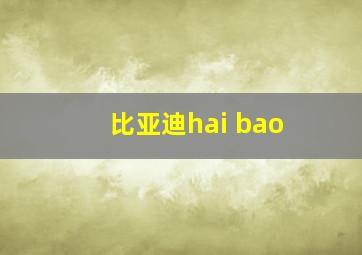 比亚迪hai bao